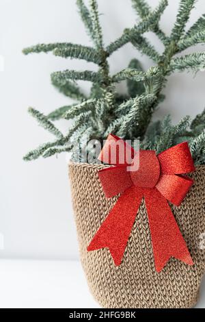 Nobilis Zweige sind in einem Weidenkorb zusammen mit einer großen roten Schleife an der Grenze. Neujahrs- und Weihnachtskonzept Stockfoto