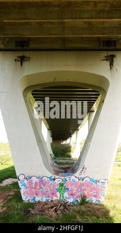 Säulen oder Stützpfeiler einer Eisenbahnbrücke über den Fluss Llobregat im Delta del Llobregat, Sant Boi de Llobregat, Barcelona, Katalonien Stockfoto