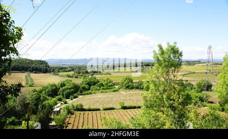 Weinberge in der Region Anoia, Barcelona, Katalonien, Spanien, Europa Stockfoto