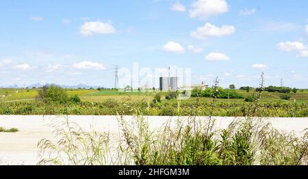 Weinberge in der Region Anoia, Barcelona, Katalonien, Spanien, Europa Stockfoto