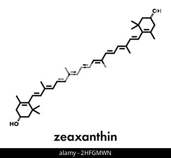 Zeaxanthin gelbes Pigment Molekül. Für die Farbe der Paprika, Mais, Safran, etc. spielt ebenfalls eine wichtige Rolle im menschlichen Auge (in der makula). Stock Vektor