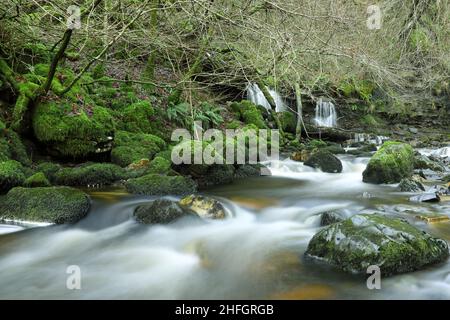 Der sanfte Fluss der Trossachs schlängelt sich friedlich durch üppige Landschaften, sein klares Wasser flüstert Geheimnisse des Friedens und der Harmonie Stockfoto