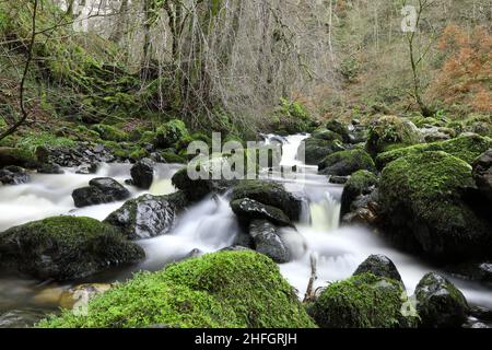 Der sanfte Fluss der Trossachs schlängelt sich friedlich durch üppige Landschaften, sein klares Wasser flüstert Geheimnisse des Friedens und der Harmonie Stockfoto