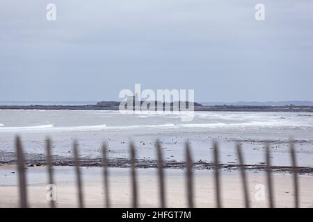 Dünenzaun in der Nähe der Insel Tathiou, Tour Vauban in Saint Vaast la Hougue in der Normandie Frankreich Stockfoto