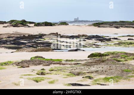 Insel Tathiou zwischen Barfleur und Tour Vauban in Saint Vaast la Hougue, Cotentin an der Küste der Normandie Stockfoto