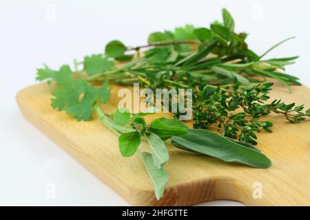 Auswahl frischer Kräuter auf Holzbrett auf weißem Hintergrund (Koriander, Thymian, Rosmarin, Salbei) Stockfoto