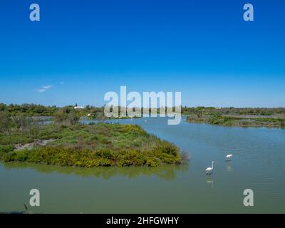 Landschaft des Ornithologischen Parks von Pont de Gau Stockfoto