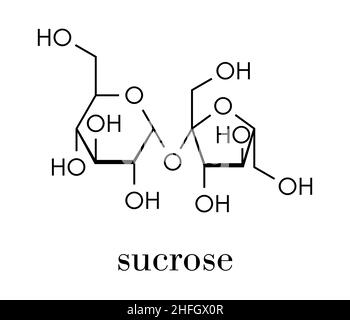 Saccharose Zucker Molekül. Auch als Tabelle Zucker, Rohrzucker oder Rübenzucker bekannt. Skelettmuskulatur Formel. Stock Vektor
