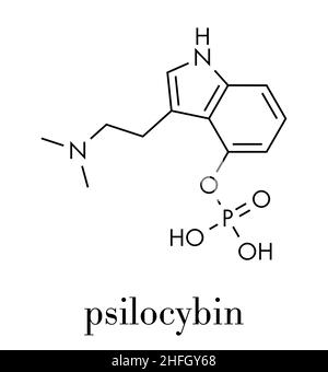 Psilocybin psychedelisch Pilz Molekül. Prodrug von psilocin. Skelettmuskulatur Formel. Stock Vektor