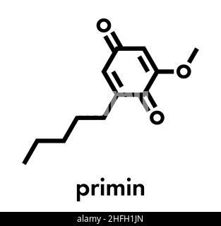 Primin primrose Anlage allergen Molekül. Skelettmuskulatur Formel. Stock Vektor