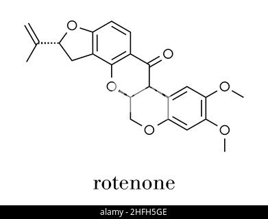 Breites Spektrum Insektizid Rotenon-Molekül. Auch zur Entwicklung der Parkinson'schen Krankheit. Skelettmuskulatur Formel. Stock Vektor