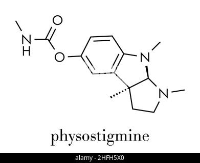 Physostigmin Alkaloid Molekül. Präsentieren Sie in Calabar Bohne und Manchinelbaum Baum, fungiert als Acetylcholinesterase-Hemmer. Skelettformel. Stock Vektor