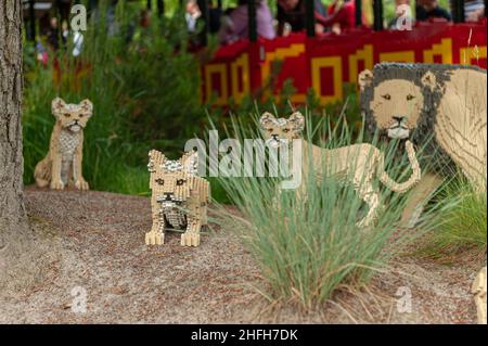 Billund, Dänemark - Juni 26 2011: Löwenjungen und ein Löwe in Lego Stockfoto