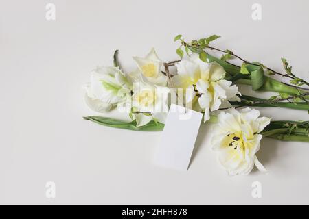 Osterstillleben. Leerer Geschenkanhänger, Etikettenmockup. Weiße Narzissen und Papageientulpen blühen. Grüne frische Birkenzweige mit grünen Blättern isoliert Stockfoto