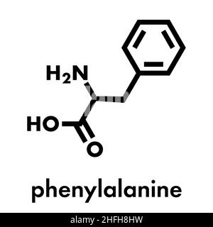 Phenylalanin (l-Phenylalanin, Phe, F) Aminosäuremolekül. Skelettformel. Stock Vektor