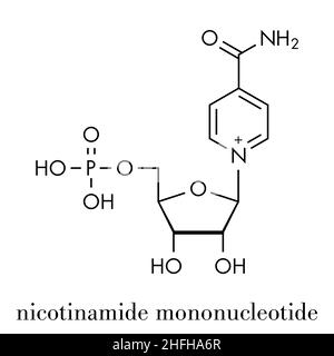 Nicotinamid mononucleotide Molekül. Vorläufer von NAD+. Skelettmuskulatur Formel. Stock Vektor