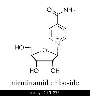 Nicotinamid riboside (NR) Molekül. Vorläufer von Nicotinamid-adenin-dinucleotid (NAD). Skelettmuskulatur Formel. Stock Vektor