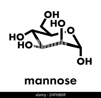 Mannose (D-Mannose)-Zuckermolekül. Glukoseepimer. Skelettformel. Stock Vektor