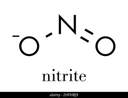 Nitritanion (NO2-). Nitritsalze werden bei der Aushärtung von Fleisch-Skeletal-Formel verwendet. Stock Vektor