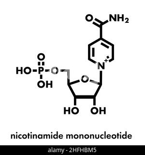 Nicotinamid mononucleotide Molekül. Vorläufer von NAD+. Skelettmuskulatur Formel. Stock Vektor