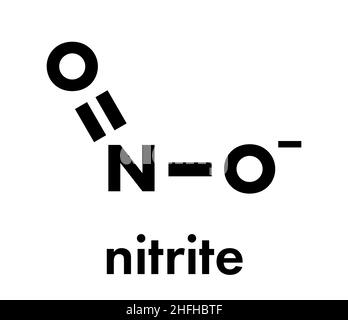 Nitritanion (NO2-). Nitritsalze werden bei der Aushärtung von Fleisch-Skeletal-Formel verwendet. Stock Vektor