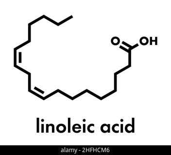 Linolsäure (LA) Molekül. Polynsaturated Omega-6-Fettsäure. Skelettmuskulatur Formel. Stock Vektor