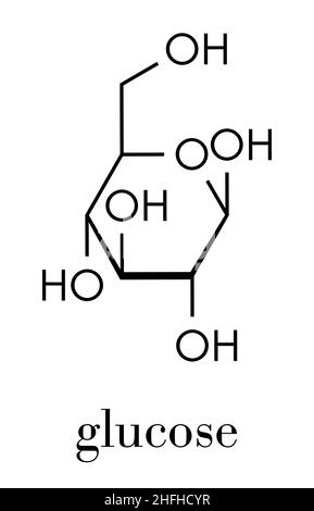 Glucose-Molekül (Dextrose, Traubenzucker) (Beta-D-Glucopyranose-Form). Skelettformel. Stock Vektor