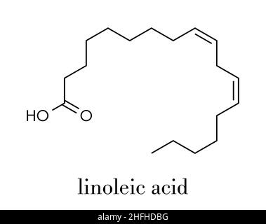 Linolsäure (LA) Molekül. Polynsaturated Omega-6-Fettsäure. Skelettmuskulatur Formel. Stock Vektor