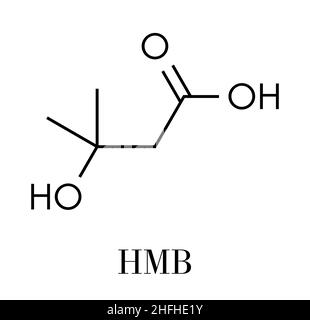 Beta-hydroxy beta-methylbutyric Säure (HMB) Leucin stoffwechselprodukt Molekül. Als Ergänzung verwendet, kann Kraft und Muskelmasse erhöhen. Skelettmuskulatur Formel. Stock Vektor