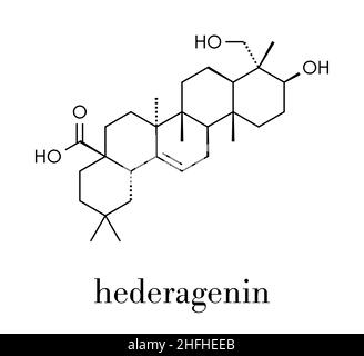 Hederagenin common ivy Molekül. Skelettmuskulatur Formel. Stock Vektor