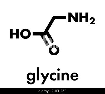 Glycin (Gly, G)-Aminosäuremolekül. Skelettformel. Stock Vektor