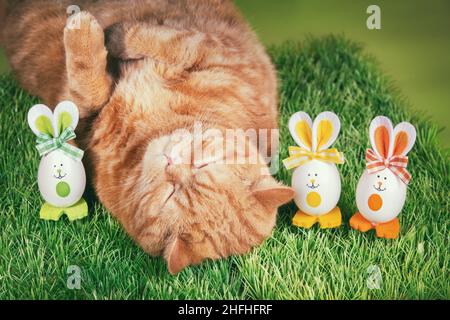 Eine lustige Ingwer-Katze schläft auf dem Rücken auf Kunstrasen mit farbigen Ostereiern Stockfoto