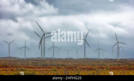 Windturbinen-Betrieb in Smola. Die arktische Tundra auf der Insel Smola, Grafschaft More Og Romsdal, Norwegen. Stockfoto