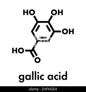 Gallussäure (trihydroxybenzoic Säure) Molekül. In vielen Pflanzen, einschließlich Eiche, Tee und sumach vorhanden. Sowohl in der freien Form und ist ein Teil von Tannin compo Stock Vektor