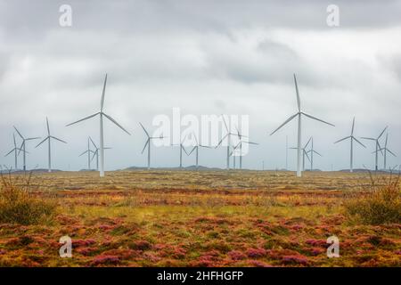 Windturbinen-Betrieb in Smola. Die arktische Tundra auf der Insel Smola, Grafschaft More Og Romsdal, Norwegen. Stockfoto