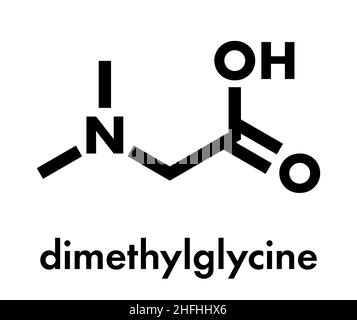Dimethylglycin (DMG)-Molekül. Methyliertes Glycin-Derivat, das in leistungssteigernden Nahrungsergänzungsmitteln verwendet wird. Skelettformel. Stock Vektor