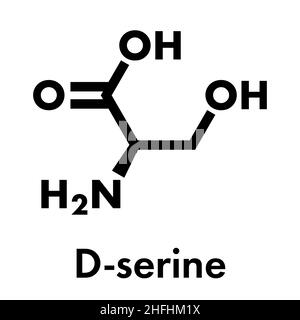 D-Serin Aminosäure Molekül. Enantiomer des L-Serin. Skelettmuskulatur Formel. Stock Vektor