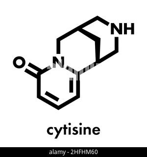 (Cytisine baptitoxine, sophorine) Raucherentwöhnung Droge Molekül. Skelettmuskulatur Formel. Stock Vektor