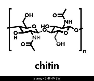 Chitin, chemische Struktur. Chitin ist ein Polymer von N-Acetylglucosamin und steht in der Exoskeletons von Insekten, Krebstiere, etc. der Skelettmuskulatur biol Stock Vektor