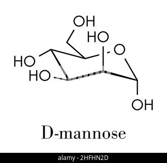 Mannose (D-Mannose)-Zuckermolekül. Glukoseepimer. Skelettformel. Stock Vektor