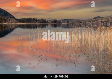 Szenische Reflexion der Vegetation am Schliersee in Bayern, Deutschland Stockfoto