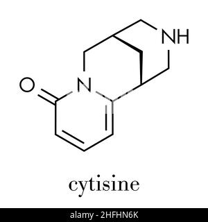 (Cytisine baptitoxine, sophorine) Raucherentwöhnung Droge Molekül. Skelettmuskulatur Formel. Stock Vektor