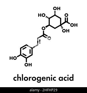 Chlorogensäure pflanzlichen Moleküls. Skelettmuskulatur Formel. Stock Vektor
