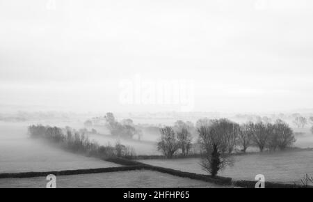 Januar 2022 - niedriger Winternebel über den Mooren in der Nähe des Dorfes Wedmore im ländlichen Somerset, England, Großbritannien Stockfoto