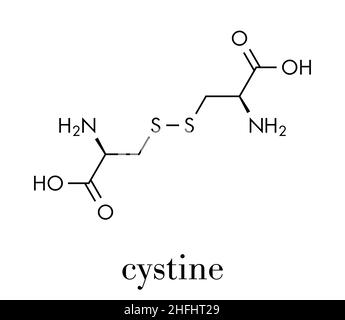 Cystin-Molekül. Oxidiertes Dimer der Aminosäure Cystein. Skelettformel. Stock Vektor