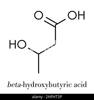 Beta-hydroxybuttersäure (beta-Hydroxybutyrat) Molekül. Skelettmuskulatur Formel. Stock Vektor