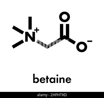 Betain (Glycine Betaine, trimethylglycine) Molekül. Ursprünglich in Zuckerrüben (Beta vulgaris) gefunden. Skelettmuskulatur Formel. Stock Vektor