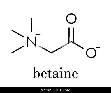 Betain (Glycine Betaine, trimethylglycine) Molekül. Ursprünglich in Zuckerrüben (Beta vulgaris) gefunden. Skelettmuskulatur Formel. Stock Vektor