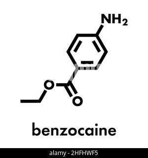 Benzocain-Molekül mit lokalem Anäs. Skelettformel. Stock Vektor