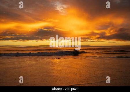 San Diego, Kalifornien, USA. 15th Januar 2022. Ein Surfer reitet während des Sonnenuntergangs am Windansea Beach von La Jolla auf einer Welle. Ein Tsunami-Hinweis ging früher am Tag entlang der kalifornischen Küste aufgrund eines Unterwasser-Vulkanausbruchs beim pazifischen Staat Tonga aus. (Bild: © K.C. Alfred/ZUMA Press Wire Service) Stockfoto